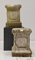 ELY25080175.jpg