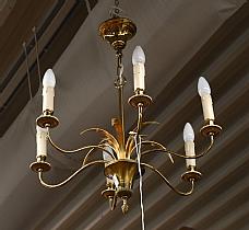 ELY25080673.jpg