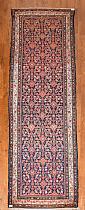 Tapis