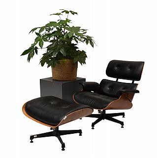 Lot 140 D'après Charles Eames