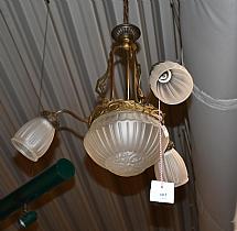ELY25050603.jpg