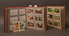 ELY25060942.jpg