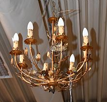 ELY25061023.jpg